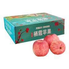 京东百亿补贴：果当爱 烟台红富士苹果 净重5斤礼盒 单果200g以上 19.9元包邮