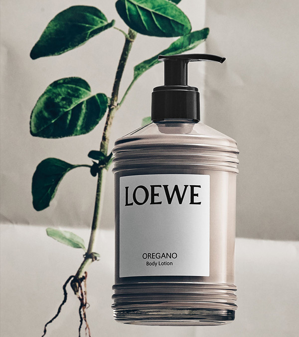 LOEWE 罗意威 身体护理系列 番茄叶牛至香味身体乳 360ml