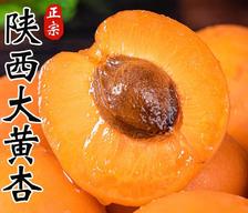冰茜 陕西 金太阳大黄杏 3斤 （18-24个） 48.6元（需用券）