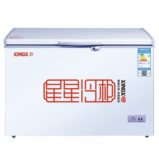 XINGX 星星 BD/BC-305E 冰柜 305L 999元