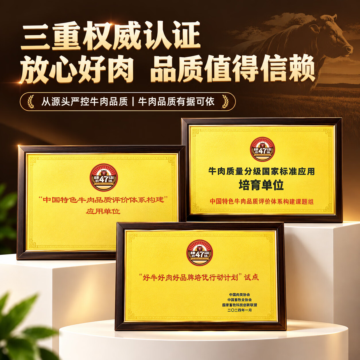 肆柒农场 齐齐哈尔烤肉净重2斤传统拌肉4-6人牛肉生鲜烧烤食材源头直发 84.9元 - 86线报
