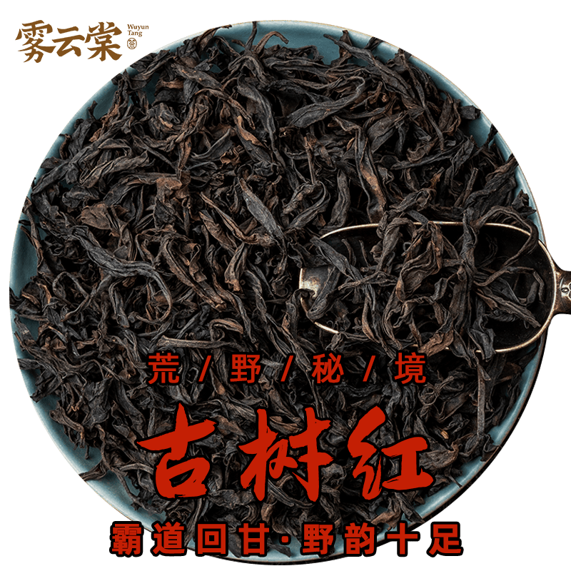 雾云棠 正山小种红茶 200g*1袋 ￥19.9