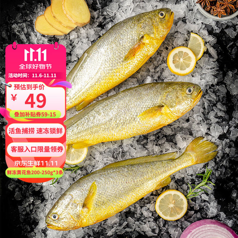 三都港 鲜冻黄花鱼200-250g*3条 48.56元（需用券）