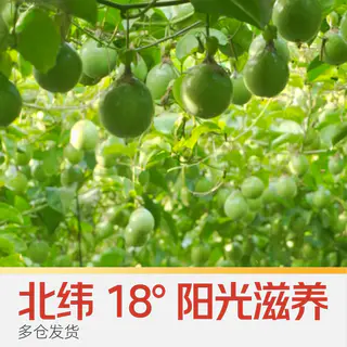 喵满分 钦蜜9号黄金百香果1斤 7.64元 - 86线报 喵满分 钦蜜9号黄金百香果1斤 7.64元 - 86线报