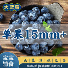 伊鲜拾光 云南蓝莓 纯甜口感 新鲜水果孕妇宝可食用15mm+4盒装 源头直发 99.9