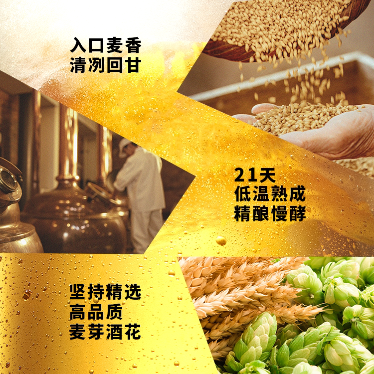 SAPPORO 三宝乐 日本进口啤酒500ml*8听 含杯子礼盒装 75.6元 - 86线报