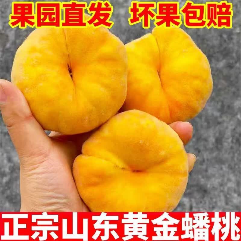 栀舒 特大果 山东蒙阴 黄金蟠桃 2.5斤装 4-6个 16.95元（需买2件，需用券）