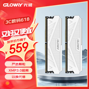 GLOWAY 光威 32GB(16GBx2)套装 DDR5 6000 台式机内存条 天策系列 助力AI ￥556.21