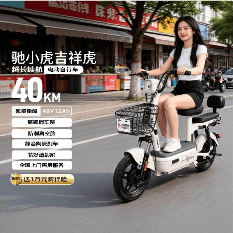 驰小虎 电动自行车 吉祥虎 新国标48V12Ah铅酸 高碳钢车架【装好送到家】 1099