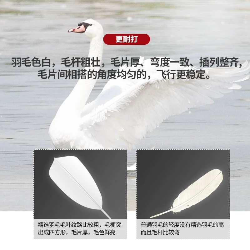迪科斯 羽毛球3只装 3.83元 - 线报酷