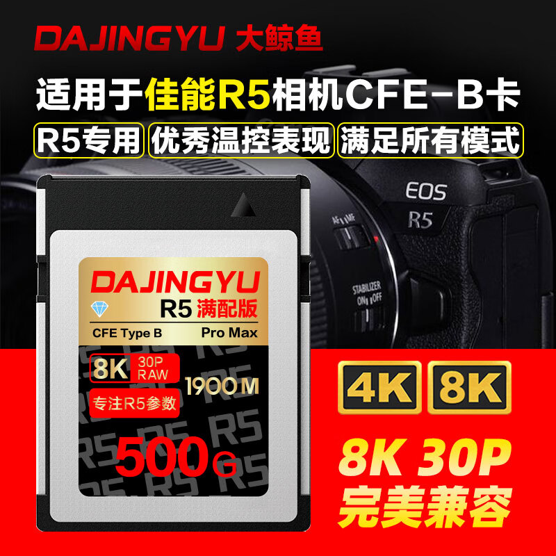 DAJINGYU 大鲸鱼 cfexpress存储卡 CFE-B卡佳能R5专用 CFE Type B高速相机内存卡 500G-