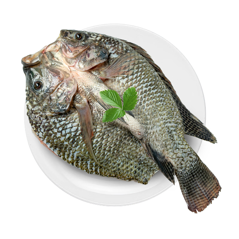 简鲜 三去开背珍珠斑鲷鱼 生鲜鱼类 净重350g*4条 29元