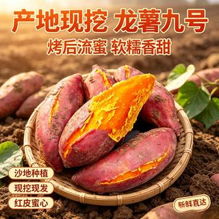 享农伯 龙薯九号番薯 黄心粉糯 9斤 中型果 13.99元 - 86线报 享农伯 龙薯九号番薯 黄心粉糯 9斤 中型果 13.99元 - 86线报