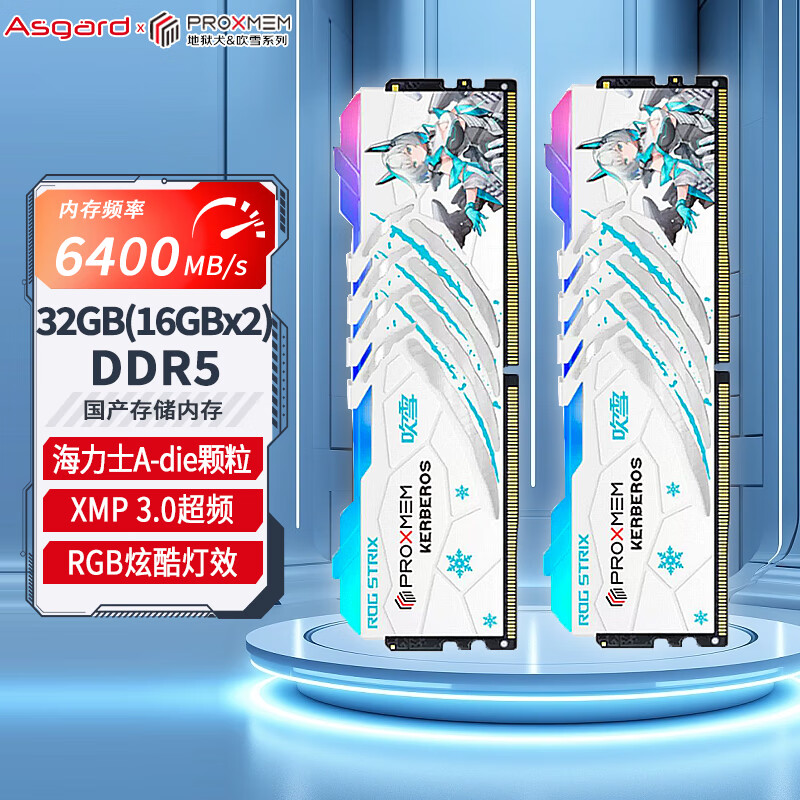 Asgard 阿斯加特 32GB(16Gx2)套装 DDR5 6400 博德斯曼-地狱犬&吹雪 RGB灯条 海力士A-d