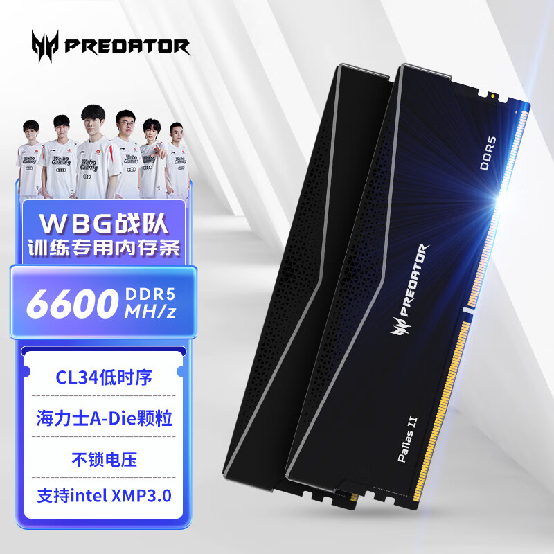 PREDATOR 宏碁掠夺者 32G(16G×2)套装 DDR5 6600频率 台式机内存条 Pallas II 凌霜系列