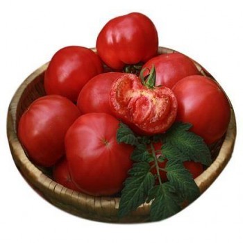 10点开始：梦强 普罗旺斯西红柿 新鲜大番茄 5斤