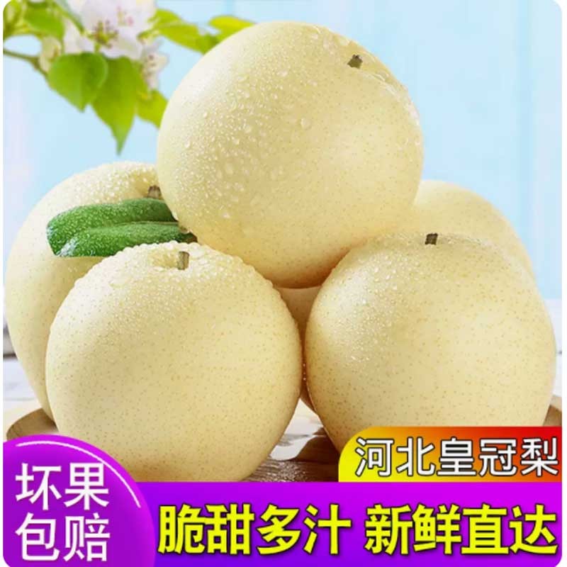 美得乐 河北皇冠梨 9斤中果（单果200g） 32.37元（需用券）