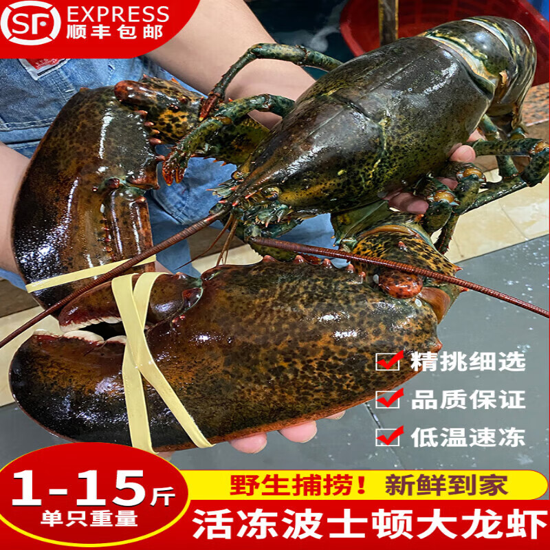 隆鲜道 大号波士顿龙虾 6-6.5斤/只 587元（需用券）