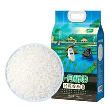 十月稻田 东北长粒香大米5kg黑龙江大米粳米10斤装 30.3元