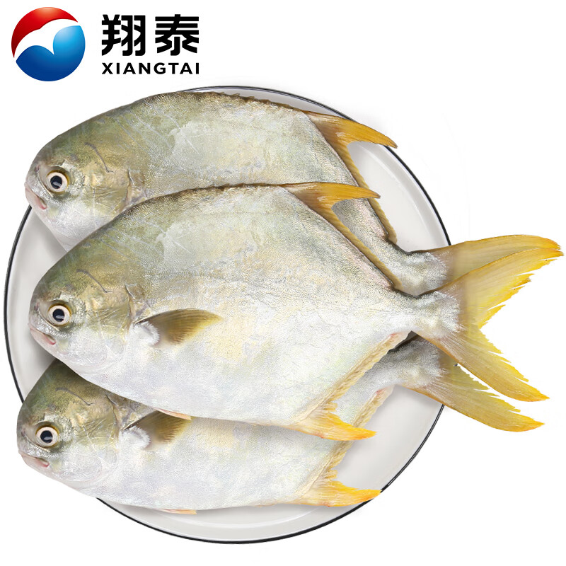 翔泰 海南深海金鲳鱼2.4斤/3-4条净重BAP认证生鲜鱼类 海鲜水产 37.1元 - 86线报