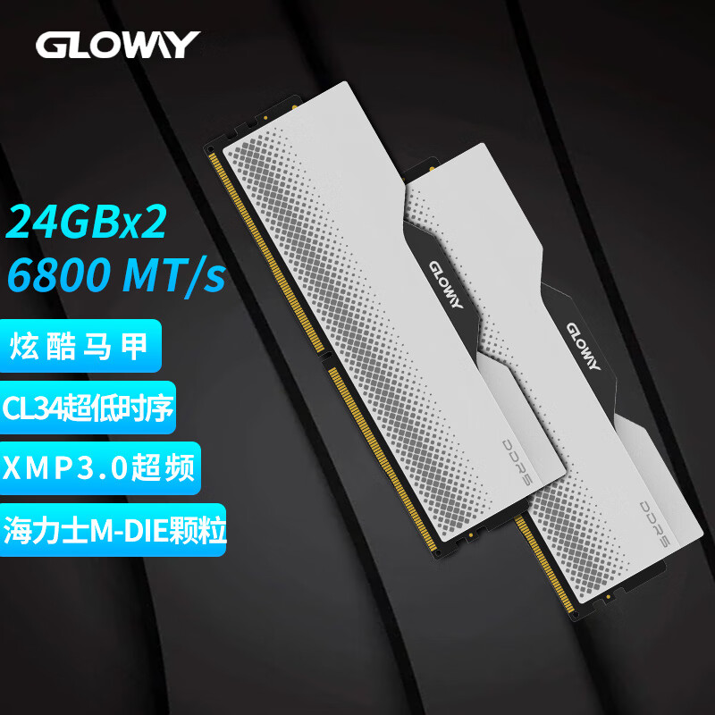 17日20点开始、GLOWAY 光威 48GB套装 DDR5 6800 台式机内存条 龙武系列 海力士M-die