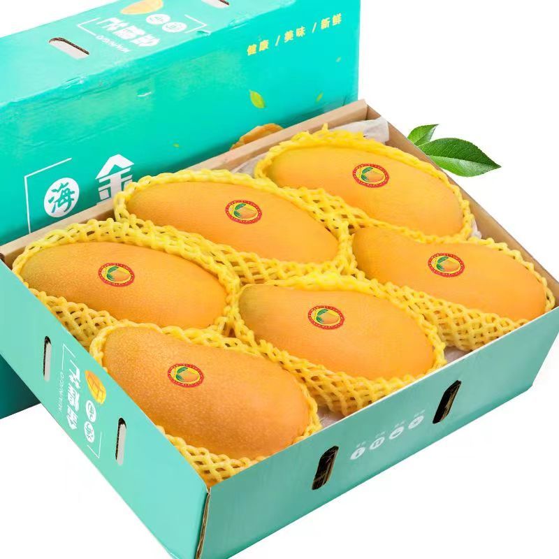 精选青皮金煌芒果 4.5斤【单果600g+】特大果 21.6元（需买2件，需用券）