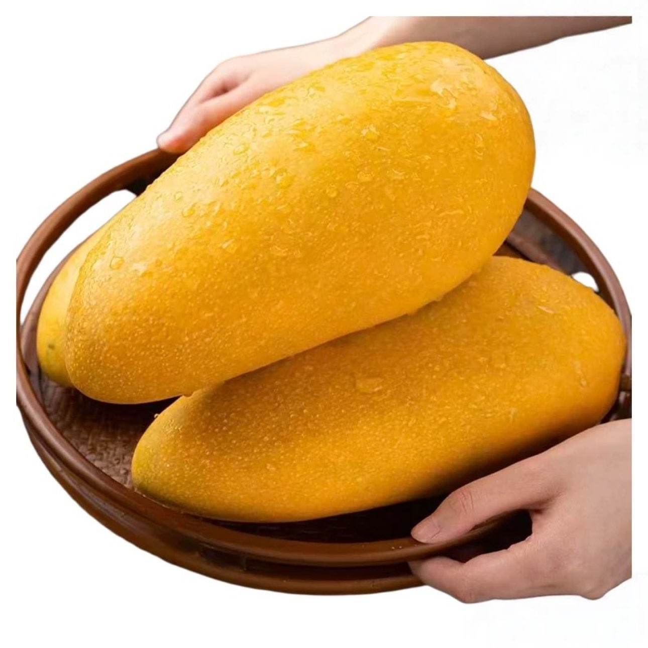 金煌芒 广西当季大青皮芒果 5斤装 净重4.5斤 单果150g+ 大果 仅2.38元/斤，11.9