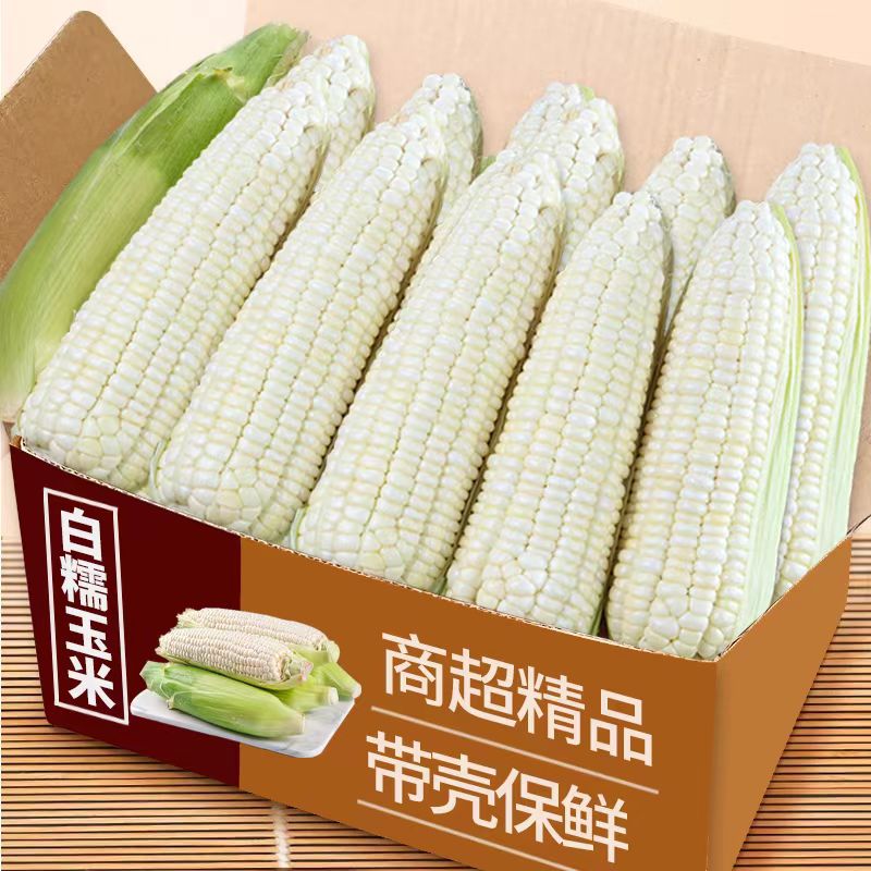 商超品质 新鲜现摘 白糯玉米 4.5斤装 14.95元