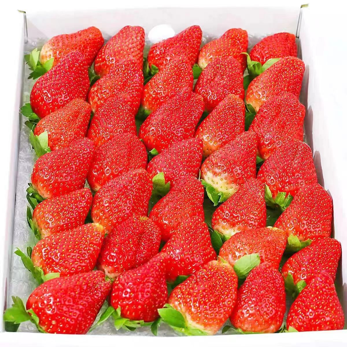 开门福利 10000箱 红颜99草莓 1.5斤装 单果30g+ 10.3元（需买3件，需用券）