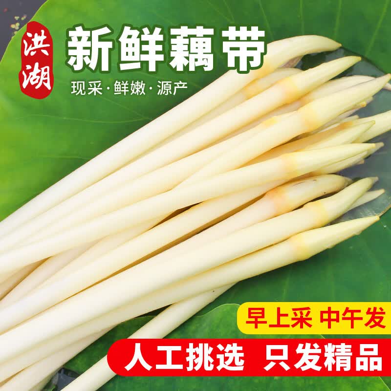洪湖农家 湖北新鲜藕带 3斤 62.9元