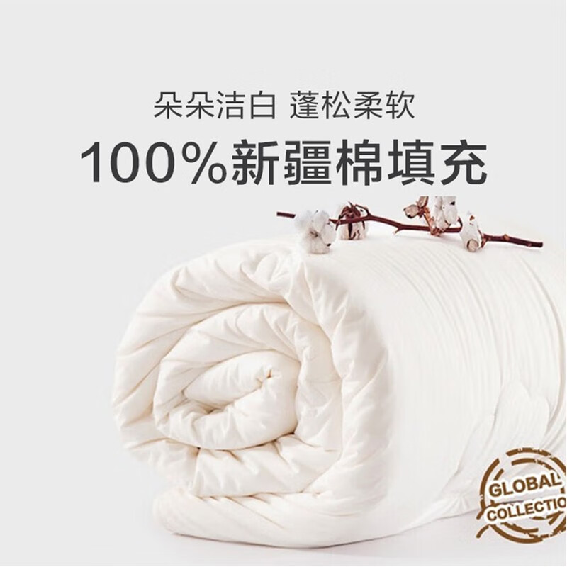LOVO 乐蜗家纺 罗莱生活旗下品牌 100%新疆棉花被 四季秋冬被子 1-5斤 100%新疆