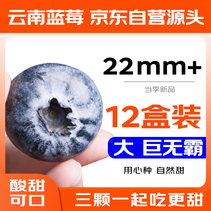 京鲜生 巨无霸果云南蓝莓（22mm+）12盒装 单盒约125g 137.3元（需用券）