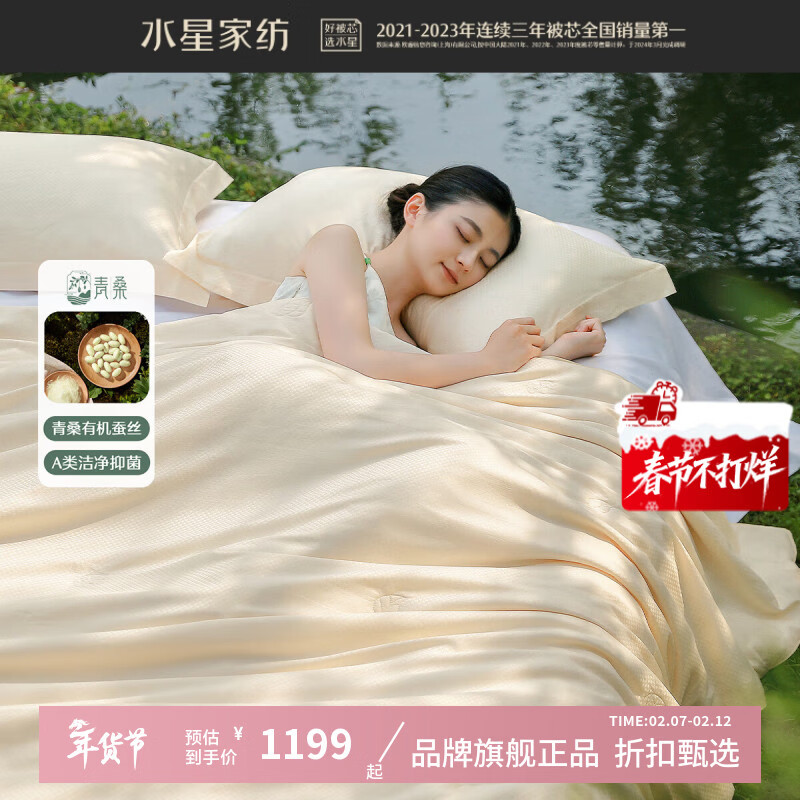 水星家纺 A类抑菌100%蚕丝冬被芯60支长绒棉秋秋冬蚕丝被子 青桑·云涧蚕丝