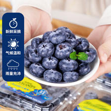 言果纪 特大果 蓝莓 125g/6盒 果径14-17mm （不用券实付） ￥70