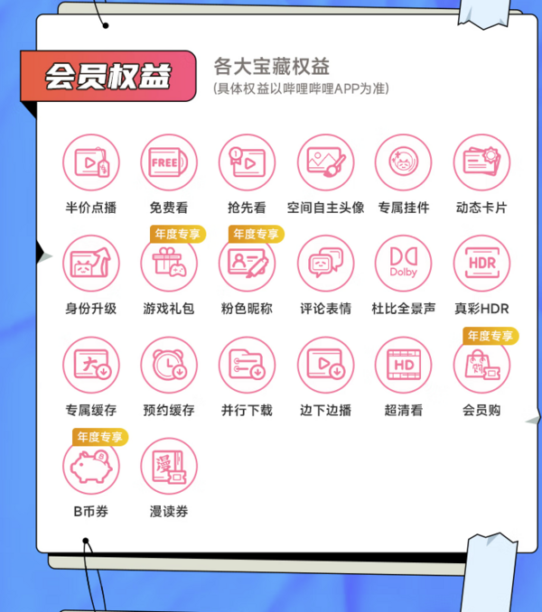 嗶哩嗶哩 bilibili vip會(huì)員12個(gè)月年卡B站年度大會(huì)員