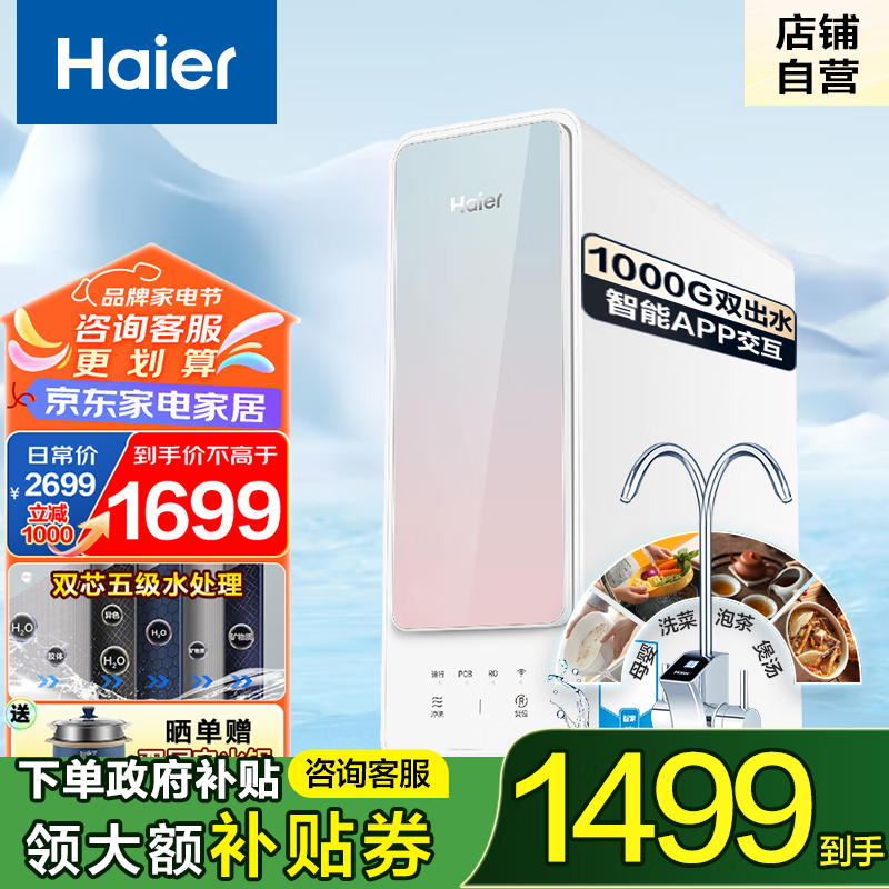 Haier 海尔 净水器家用厨下式双出水RO膜反渗透母婴直饮大通量1000G鲜活水过