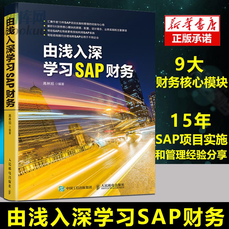 由浅入深学习SAP财务 SAP系统 财务分析 ERP系统 会计 资产 订单 获利分析 15年