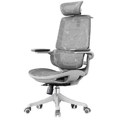 有卷得上：西昊 M59AS人体工学椅双背电脑椅 M59AS网座+3D扶手+头枕（双背款）