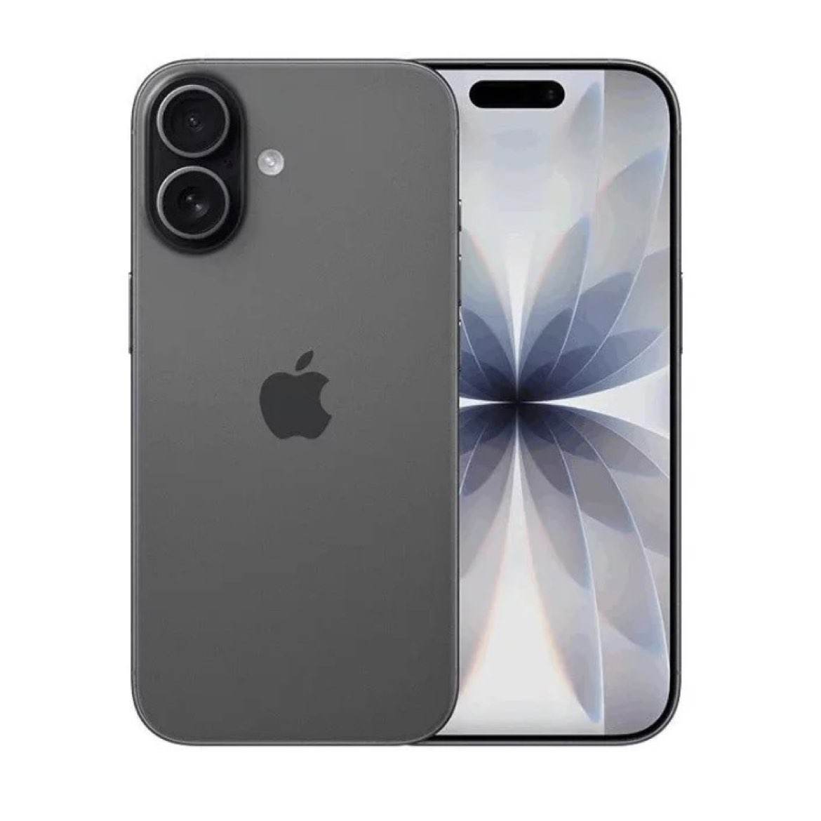 Apple iPhone 17 全网通5G智能手机 黑色-256GB 官方标配 4999元