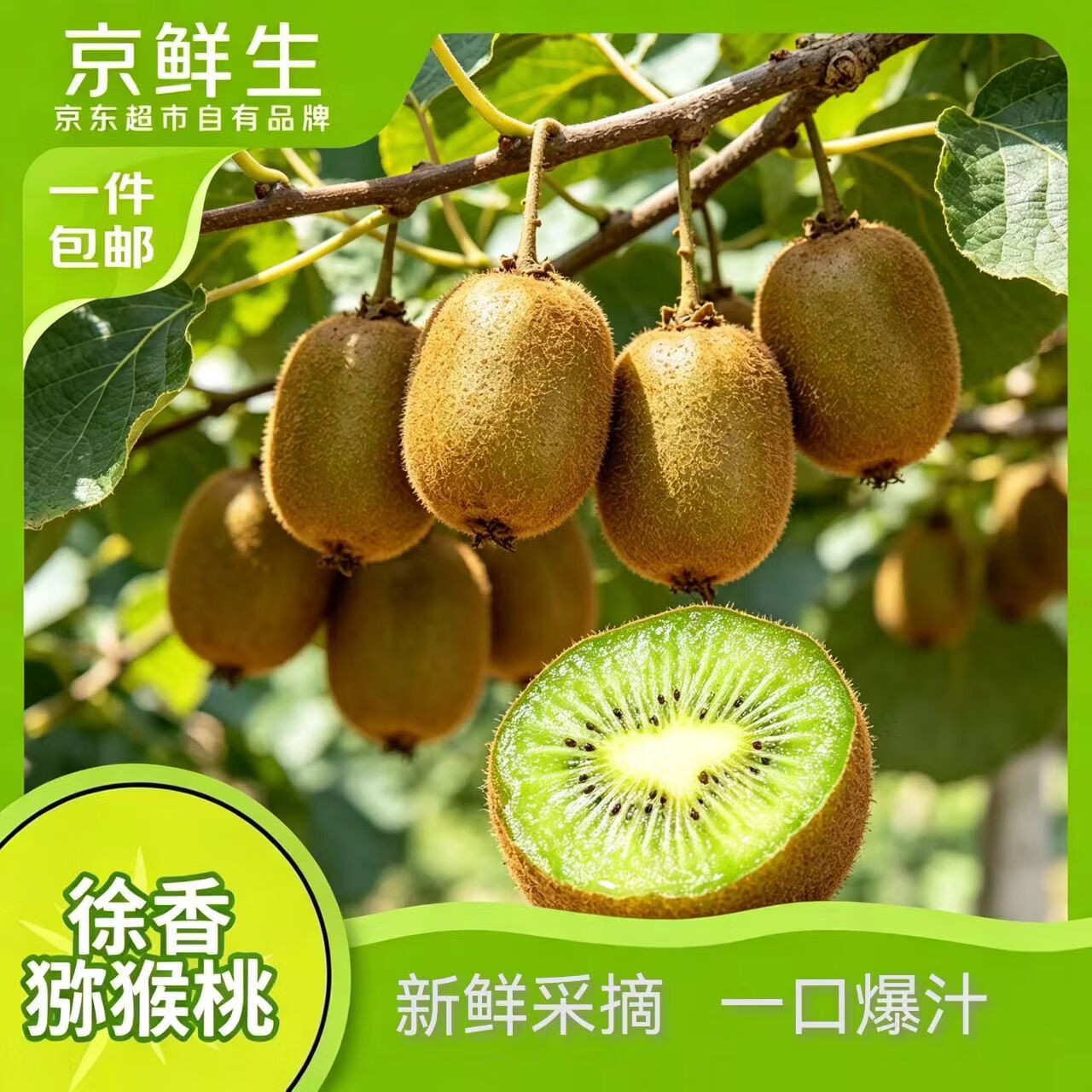 京鲜生 陕西徐香绿心猕猴桃10粒单果110+g新鲜水果 源头直发 19.9元 - 86线报