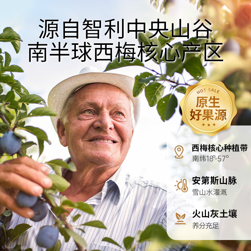 百草味 有核西梅干 508g 14.9元 - 86线报