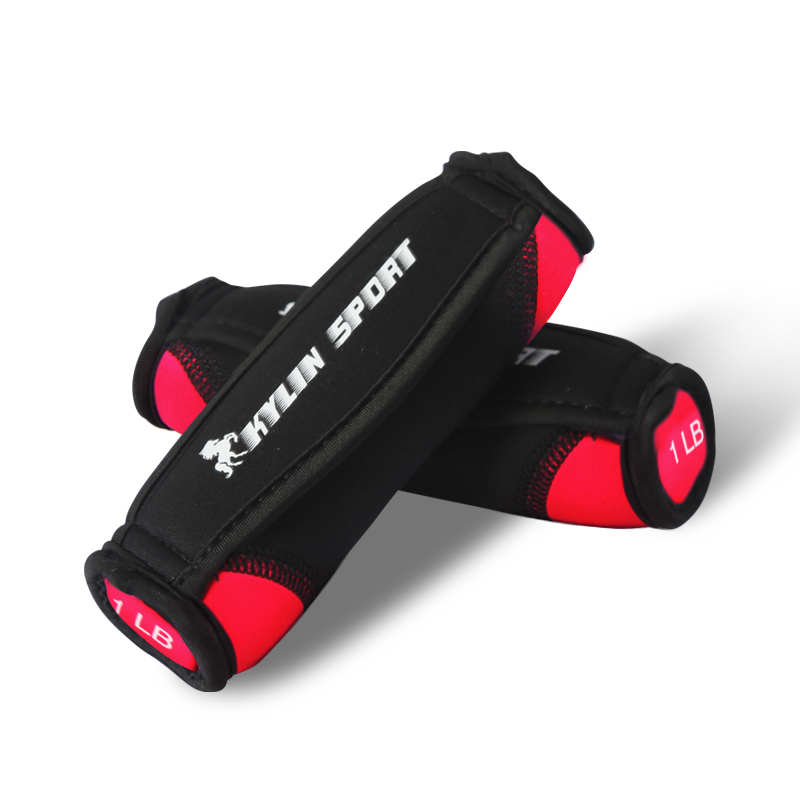 骐骏 海绵款健身哑铃 QJ-AWY01 一对两只 29.7元