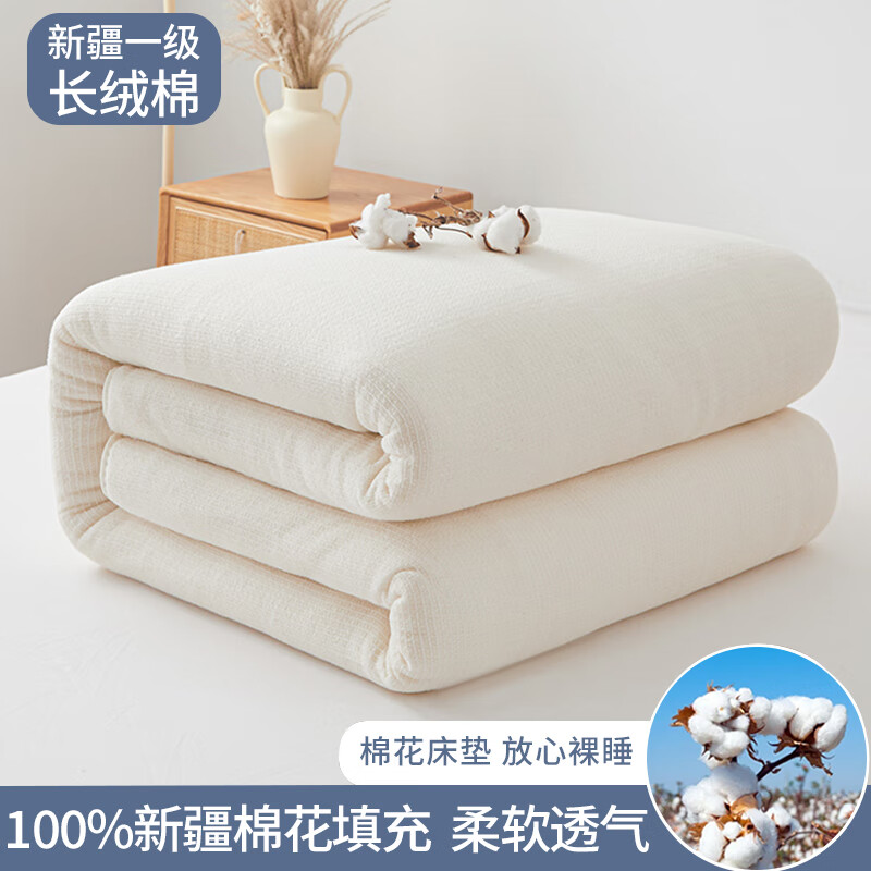 江南生活 southern life 100%新疆棉花被5斤 200*230cm 79元（需用券）