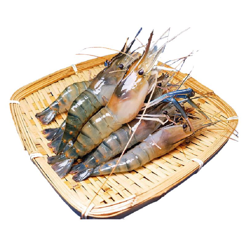 百鲜洽 罗氏虾 大号 12-15只/斤 500g×3盒