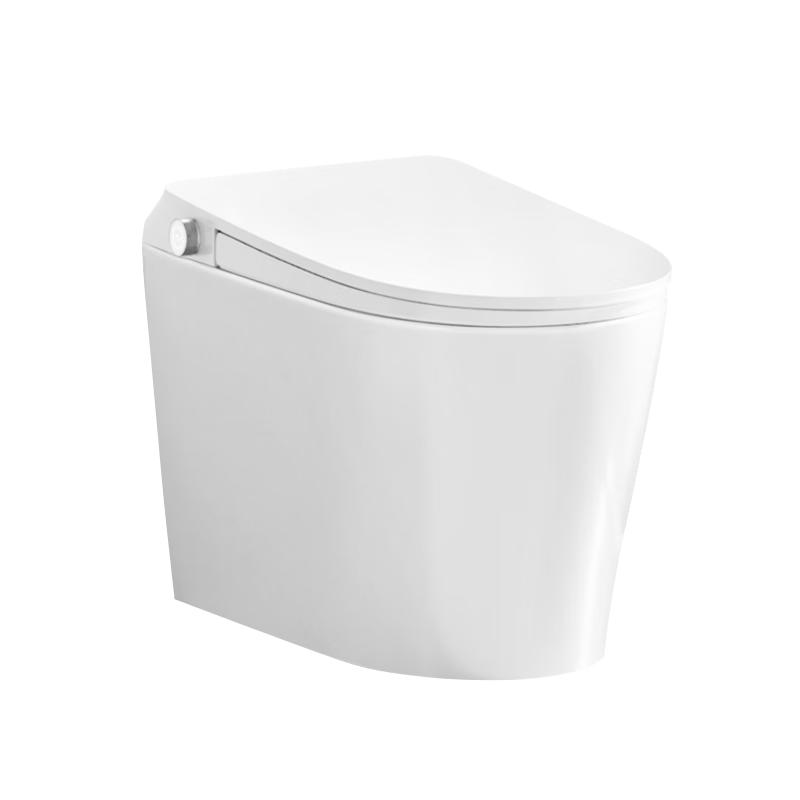 京东京造 小白鲸Plus2.0 轻智能马桶 泡沫盾 带水箱 1099元
