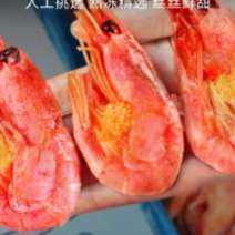 plus会员，百亿补贴：龙味福北极甜虾 甜虾90-120只/kg 净虾重3斤（无冰衣） 66