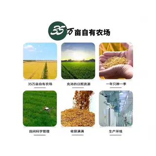光明谷锦 2025年新米光明谷锦甄选海丰优质大米10kg20斤海丰农场大米粳米 62.8元 - 86线报 光明谷锦 2025年新米光明谷锦甄选海丰优质大米10kg20斤海丰农场大米粳米 62.8元 - 86线报