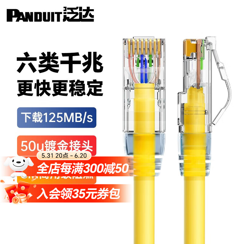 泛达 PANDUIT 六类粗网线CAT6类千兆成品跳线办公家用POE监控宽带网络带水晶头