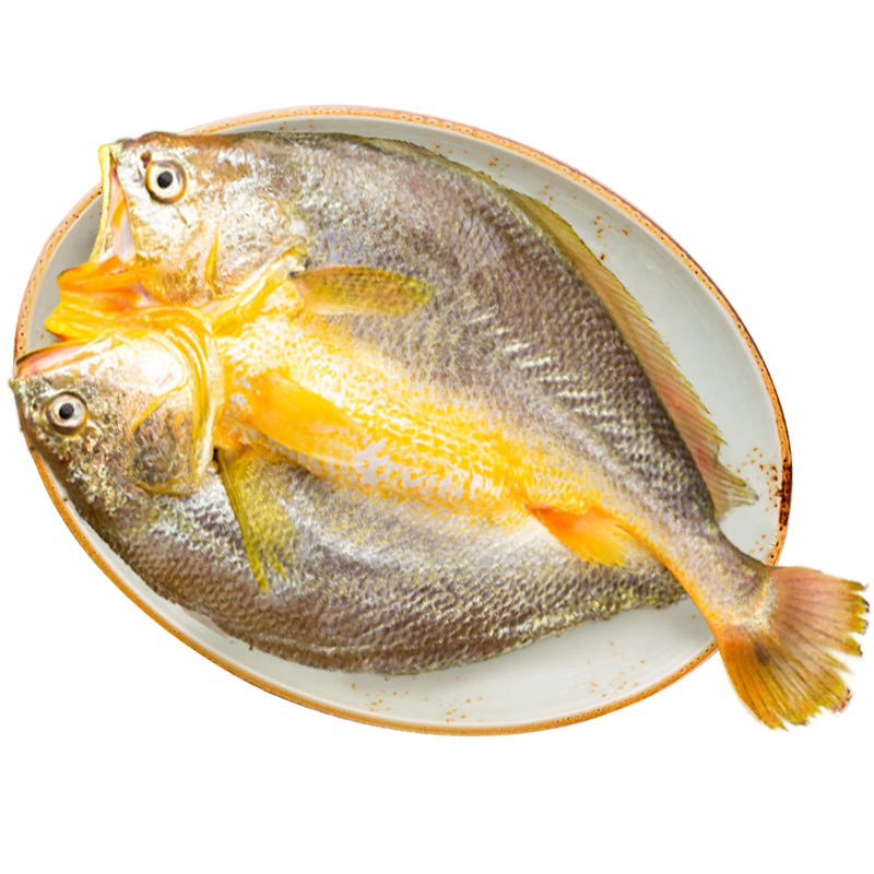 再降价、京东百亿补贴：黄小渔 醇香黄鱼鲞 250g*6条（净重1.5kg） 46.9元包邮