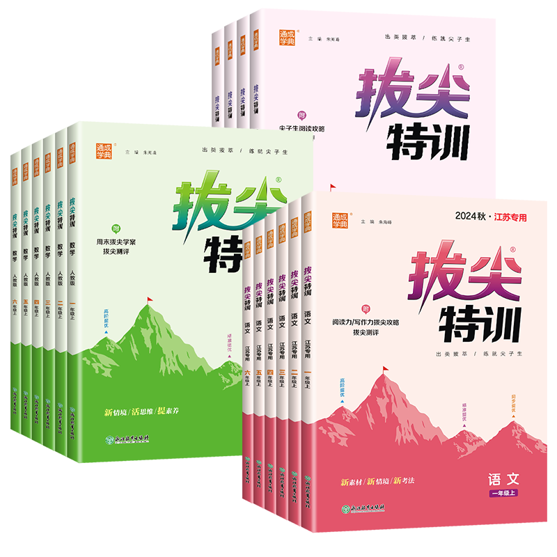 《2024通城学典拔尖特训》（年级、科目任选） ￥18.8